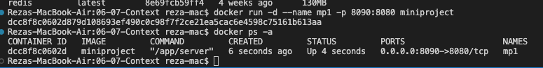 249c-docker run.png